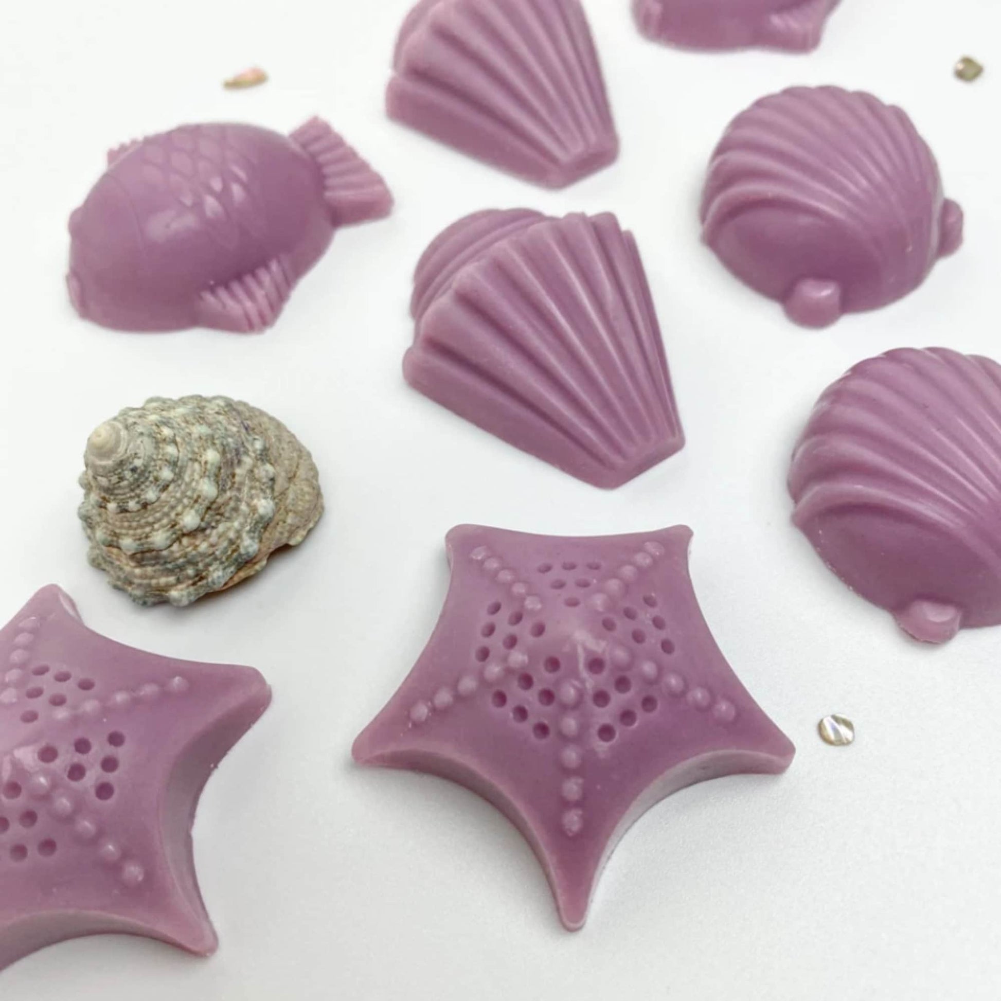 Seashells Highly Scented Soy Wax Melts