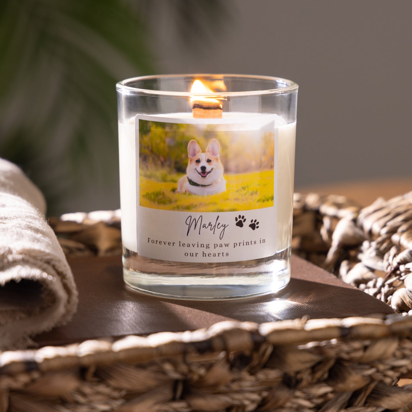 Photo Memorial Candle, Personalised Pet Memorial Candle, Soy Wax Candle, Scented Candle, Pet Memorial Gift, Pet Loss Gift, In Loving Memory